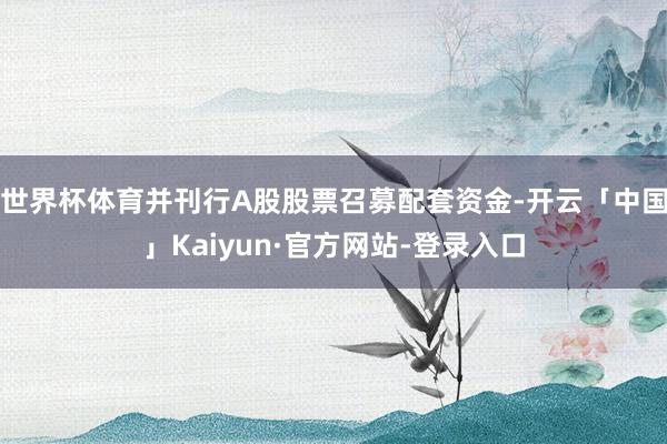 世界杯体育并刊行A股股票召募配套资金-开云「中国」Kaiyun·官方网站-登录入口