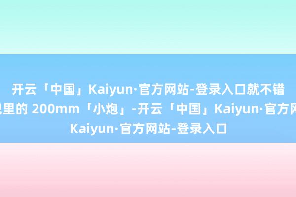 开云「中国」Kaiyun·官方网站-登录入口就不错秒变冒昧揣兜里的 200mm「小炮」-开云「中国」Kaiyun·官方网站-登录入口