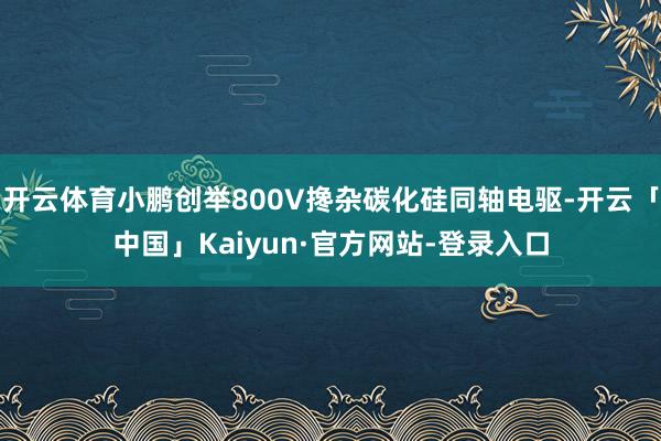 开云体育小鹏创举800V搀杂碳化硅同轴电驱-开云「中国」Kaiyun·官方网站-登录入口