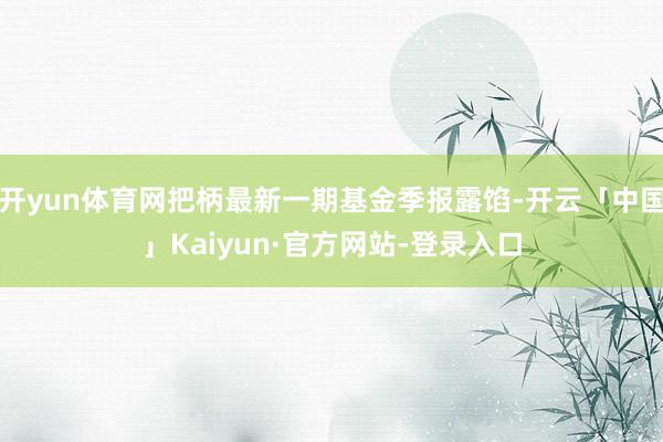 开yun体育网把柄最新一期基金季报露馅-开云「中国」Kaiyun·官方网站-登录入口
