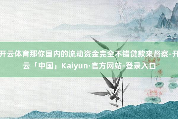 开云体育那你国内的流动资金完全不错贷款来督察-开云「中国」Kaiyun·官方网站-登录入口