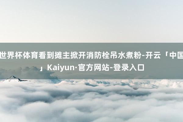 世界杯体育看到摊主掀开消防栓吊水煮粉-开云「中国」Kaiyun·官方网站-登录入口