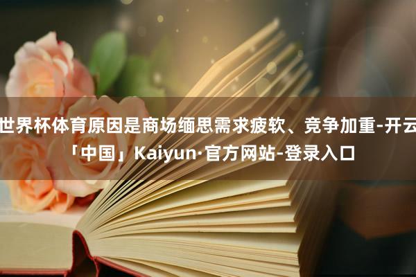世界杯体育原因是商场缅思需求疲软、竞争加重-开云「中国」Kaiyun·官方网站-登录入口