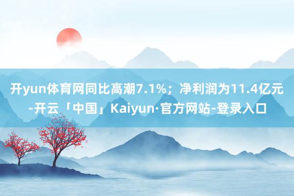 开yun体育网同比高潮7.1%；净利润为11.4亿元-开云「中国」Kaiyun·官方网站-登录入口