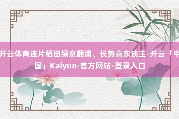 开云体育连片稻田绿意翻涌、长势喜东谈主-开云「中国」Kaiyun·官方网站-登录入口